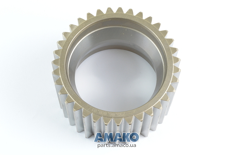 755.06.080.01 (DANA)