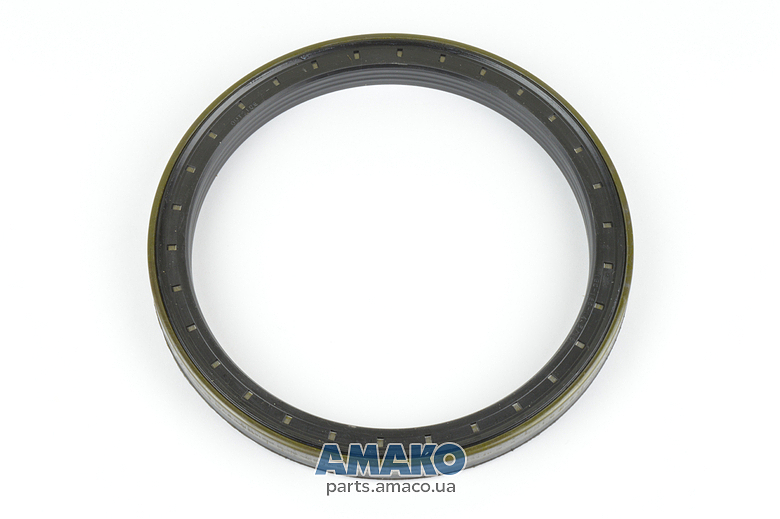 738.06.069.01 (DANA)